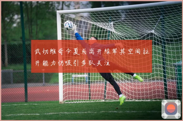 武切维奇今夏或离开绿军其空间拉开能力仍吸引多队关注
